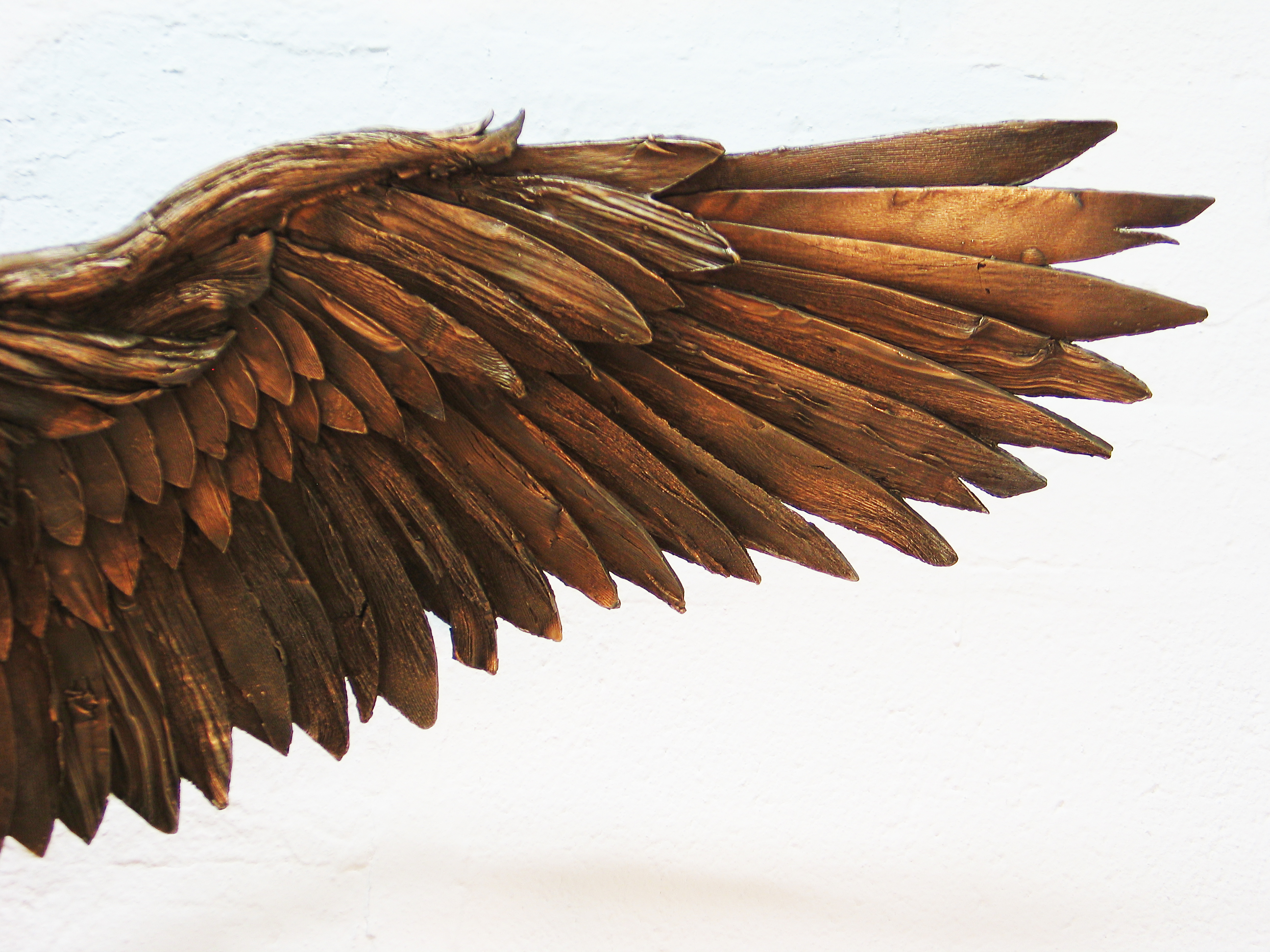 True Form Productions