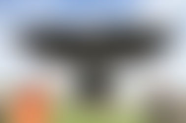 Eagle's First Public Appearance at Activate Chicago with Sculpture