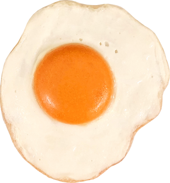fried egg_edited.png