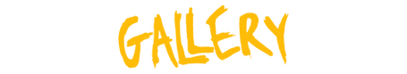 w gallery_edited.png