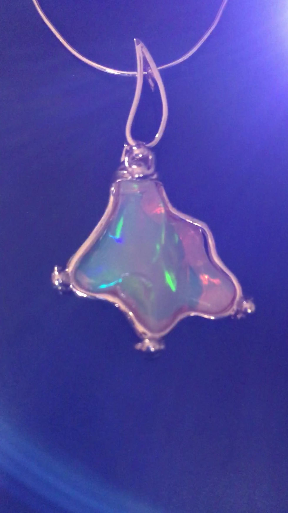 Thumbnail: "Manta"