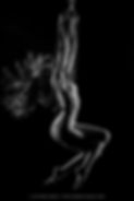 161201_2013__JIM5761-Modifier-Modifier.j
