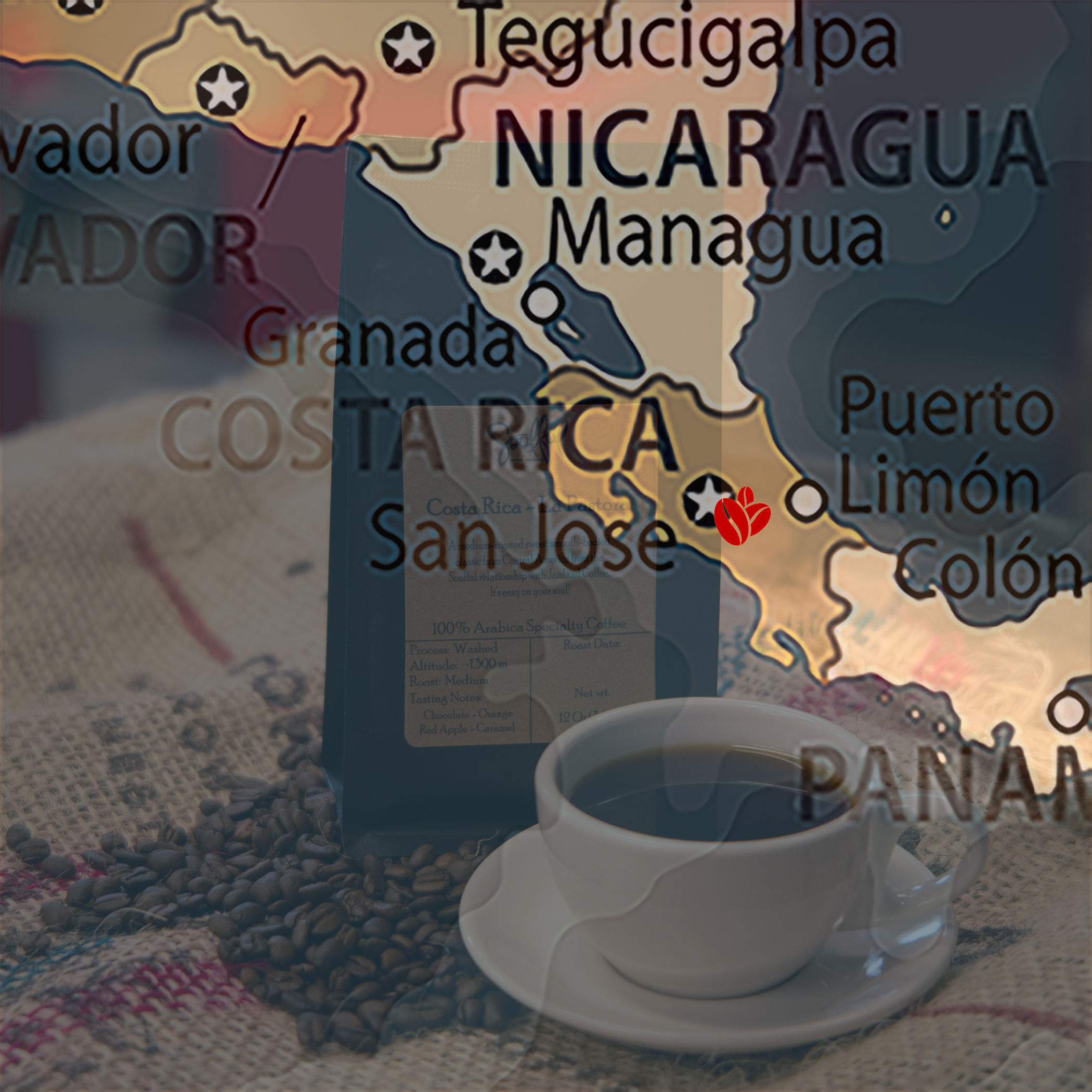 Costa Rica La Pastora - Whole Bean