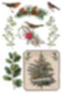 Thumbnail: Winter Botanist