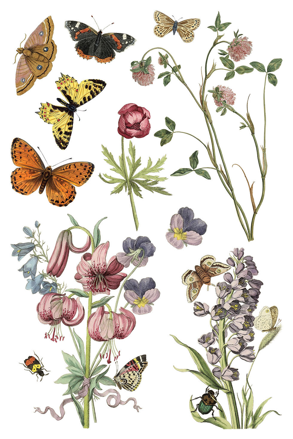 Thumbnail: Vintage botanical illustration collage with colorful butterflies and various flowers.