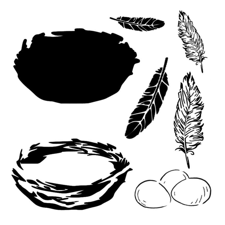Black illustration of bird's nests, various feathers, and three eggs.