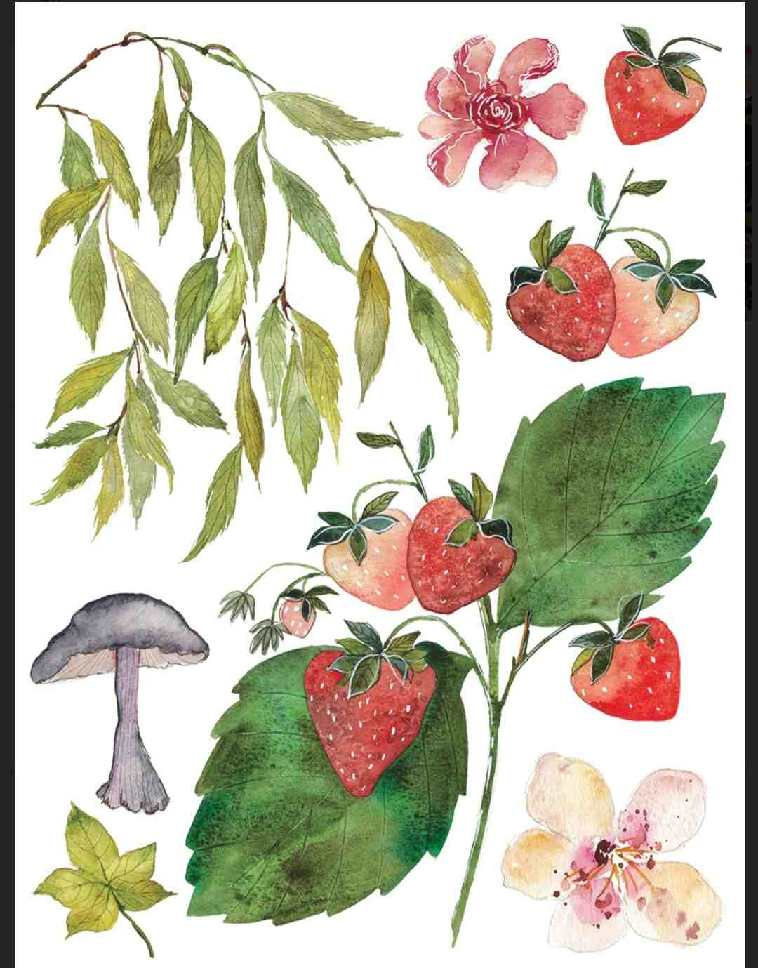 Thumbnail: Watercolor illustrations of strawberries, leaves, flowers, mushroom, and ivy.