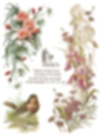 Thumbnail: Flowers By the Poets