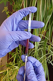 VITAMIN B12 INJECTIONS | Joanna Puddle VITAMIN B12 INJECTIONS | Joanna Puddle