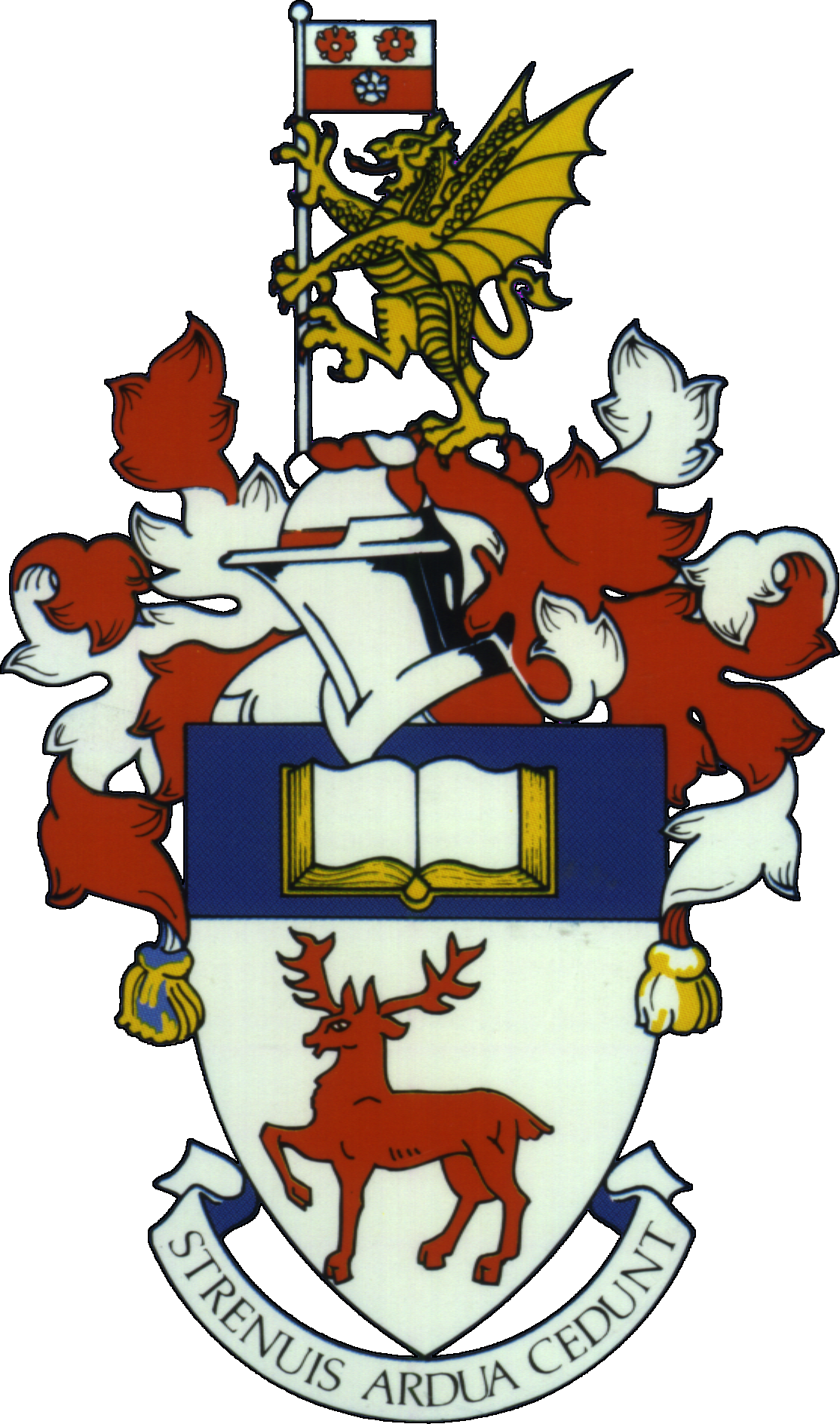 Southampton- Team Supporter
