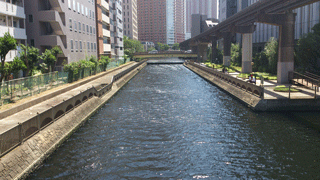 shibaura_04.gif