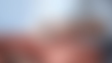 El trastorno del espectro autista se asocia a una alteración del microbioma intestinal en niños