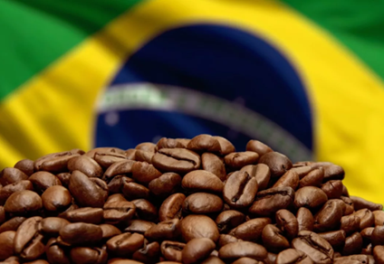 Os impactos das tarifas dos EUA na pauta de exportação brasileira
