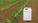The Gap in Global Fertilizer Supply: Why Is the Conflict Between the U.S., Israel, and Iran Exacerbating World Hunger?
