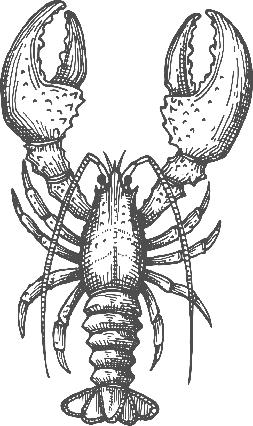 second rodeo social: crawfish boil
