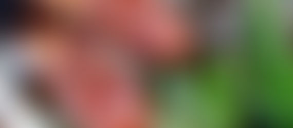 RIPKEN8 2632/IRONMAN 2nd