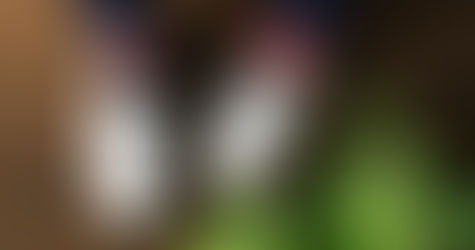 サボイア履いてみた02