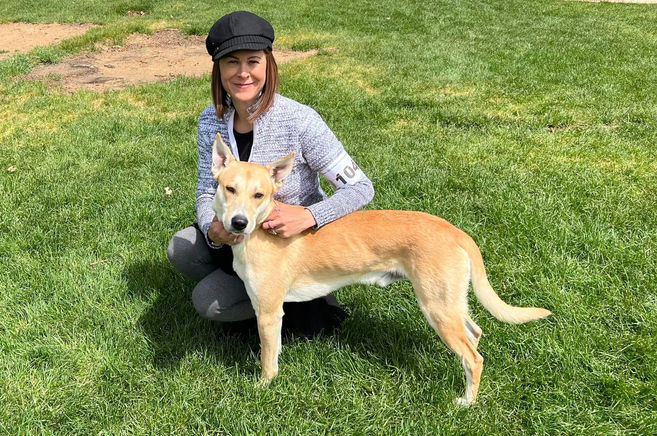 Carolina dog show dogs from Banbury Cross farm in Aiken, SC