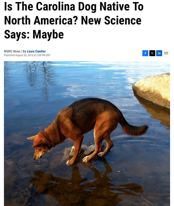 Screenshot 2026-01-12 at 8.10.23 PM.png