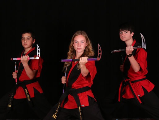 Martial Arts as Sport — Competition, Performance, and the Testing of Skill