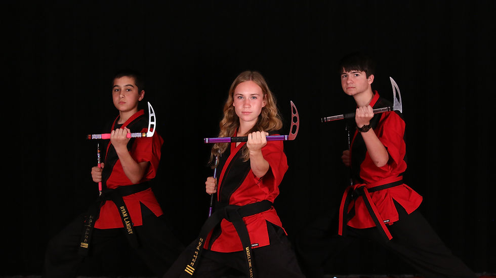 Martial Arts as Sport — Competition, Performance, and the Testing of Skill