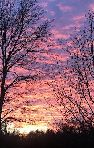 His Coming. Christmas Devotional. December 6