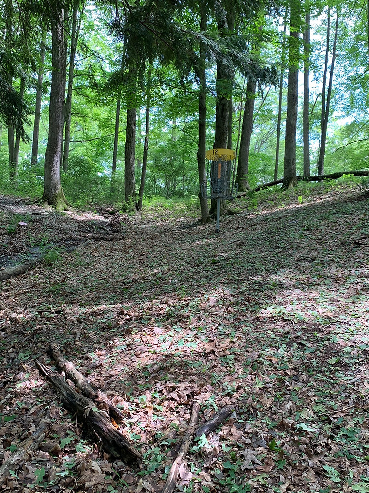 Prince Gallitzin State Park Disc Golf Course Review