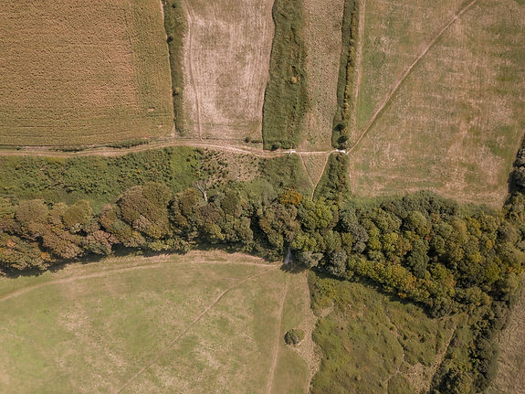 aerial-view-landscape-near-teddy-bear-woods-weymouth-dorset.jpg