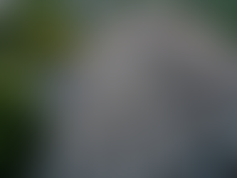 Trusted Licensed Roofing Contractors in Florida