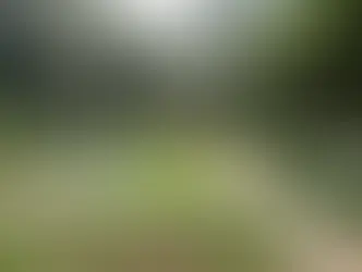 PF deflagra Operação Águas Virtuosas para investigar fraudes em licitações no Parque das Águas de Cambuquira