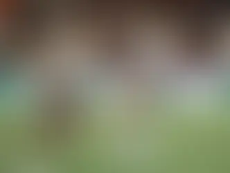 PALMEIRAS, BOTAFOGO E FLUMINENSE VENCEM PELA 8ª RODADA QUE PROSEGUE HOJE COM GRANDES JOGOS NO BRASILEIRÃO