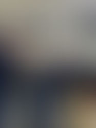 PROJETO QUE RETIRA ENCARGO DE REVERSÃO É TEMA DE VISITA TÉCNICA DA COMISSÃO DE JUSTIÇA DA CÂMARA MUNICIPAL