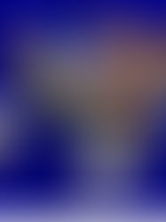 Anacronismo em Campo: As Críticas Ultrapassadas de Leão e Oswaldo de Oliveira