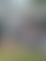 Em Varginha, Vacimóvel estará em três pontos específicos até sexta-feira (14)