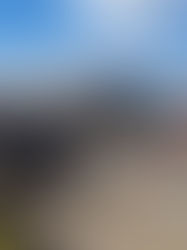 ACIDENTE NA BR-491 DEIXA UMA VÍTIMA FATAL NO SUL DE MINAS