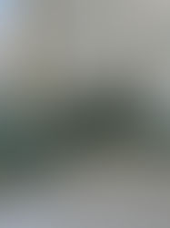 CENTRO DE ESPECIALIDADES DA CRIANÇA CELEBRA "DIA DA ÁRVORE" COM DOAÇÃO DE MUDAS A RECÉM-NASCIDOS