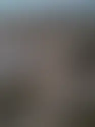 OSCAR PIASTRI VENCE GP DA HOLANDA E AMPLIA VANTAGEM SOBRE NORRIS QUE ABANDONOU NO FINAL