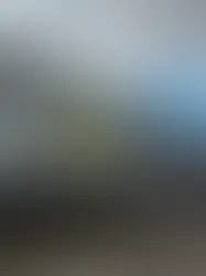 HOMEM INCENDEIA CASA COM FAMÍLIA DENTRO EM TENTATIVA DE FEMINICÍDIO EM POÇOS DE CALDAS