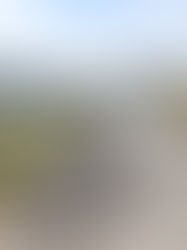 EPR Vias do Café inicia semana de obras em seis rodovias