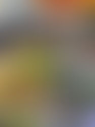 PREFEITURA DE VARGINHA DÁ INÍCIO AO DESAFIO DAS QUATRO ESTAÇÕES COM AVALIAÇÕES FÍSICAS E MEGA AULÃO