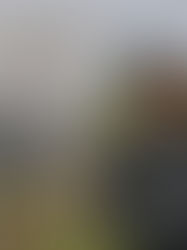 VARGINHA INAUGURA A MAIOR USINA FOTOVOLTAICA PÚBLICA DA REGIÃO COM CAPACIDADE PARA ABASTECER PRÉDIOS MUNICIPAIS