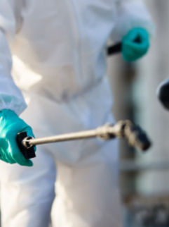 Prefeitura de Varginha intensifica preservação do patrimônio cultural com dedetização periódica