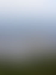 VEREADORES DE BELO HORIZONTE DECLARAM ALEXANDRE DE MORAES 'PERSONA NON GRATA' 