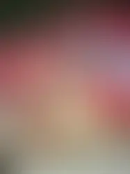 COLISÃO FRONTAL MATA QUATRO PESSOAS, INCLUINDO UMA CRIANÇA DE OITO ANOS