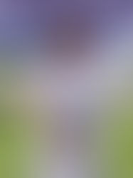 CRUZEIRO PERDE INVENCIBILIDADE E LIDERANÇA EM DERROTA SURPREENDENTE PARA O CEARÁ