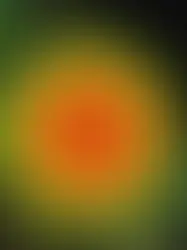 VÍRUS NIPAH: A ALTA LETALIDADE QUE PREOCUPA A OMS E O RISCO DE UMA NOVA PANDEMIA