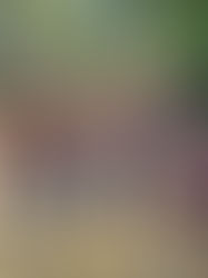 PARQUE ZOOBOTÂNICO DE VARGINHA RECEBE VISITAS ESCOLARES E FORTALECE EDUCAÇÃO AMBIENTAL