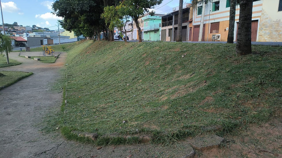 PREFEITURA DE VARGINHA INTENSIFICA CAPINA E LIMPEZA EM DIVERSAS REGIÕES DA CIDADE