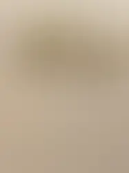 DEPUTADO INGRESSA COM PEDIDO DE CPI DO BANCO MASTER NA CÂMARA