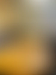 CÂMARA DE VARGINHA AVANÇA EM PARCERIA COM RECEITA FEDERAL PARA DESTINAÇÃO DE BENS APREENDIDOS E INOVAÇÃO NA SEGURANÇA PÚBLICA